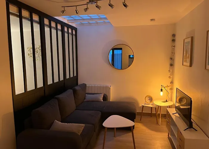 公寓 Cosy Avec Terrasse Privee Hypercentre *